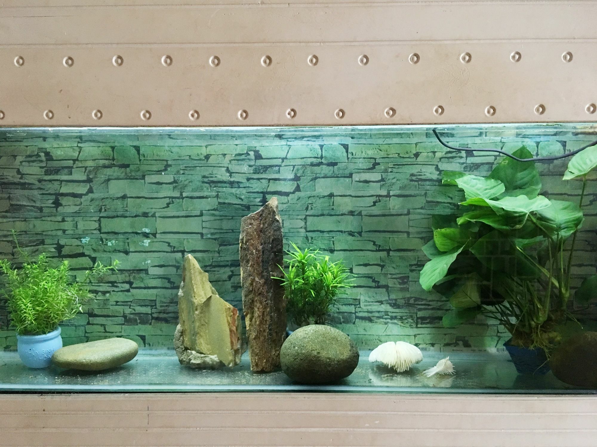 Ha My Guesthouse Дананг Экстерьер фото